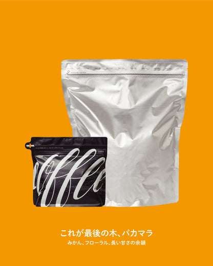 グアテマラ カスカーダ・エンカンターダ (200g / 1kg)