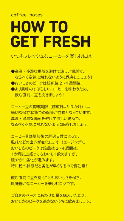 [紙/DL] ブリューガイド
