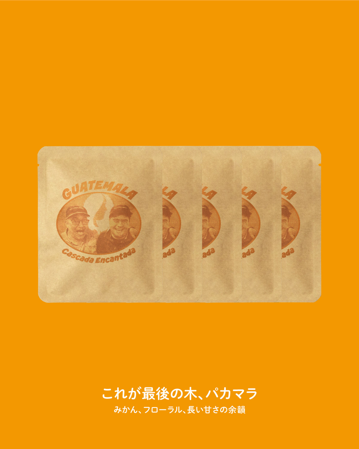 グアテマラ カスカーダ・エンカンターダ DRIPBAG×5